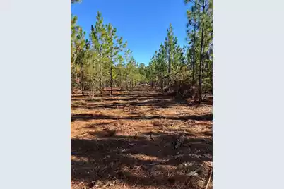 Ppf 18 Payne Pond Road #Ppf 18, Westville, SC 29175 - Photo 17