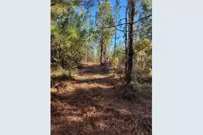 Ppf 18 Payne Pond Road #Ppf 18, Westville, SC 29175 - Photo 5