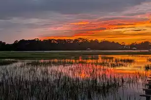 3398 Freeman Hill Rd, Johns Island, SC 29455 - Photo 3