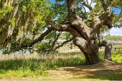 3398 Freeman Hill Road, Johns Island, SC 29455 - Photo 5