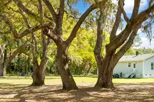 3398 Freeman Hill Rd, Johns Island, SC 29455 - Photo 7