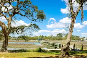 3398 Freeman Hill Rd, Johns Island, SC 29455 - Photo 1