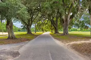 1306 McCrae Dr, Moncks Corner, SC 29461 - Photo 41