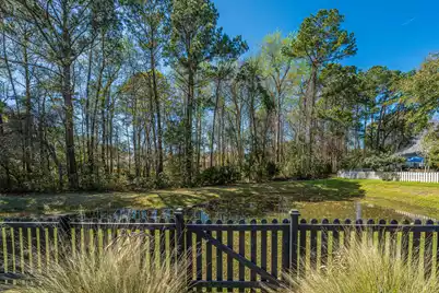 1373 Palm Cove Drive, Charleston, SC 29492 - Photo 31