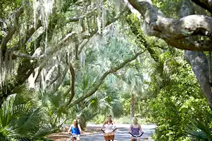 2555 Seabrook Island Rd, Seabrook Island, SC 29455 - Photo 147