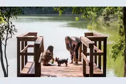 131 Sea Oats Street, Summerville, SC 29485 - Photo 29