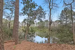 129 Jakes Ln, Mount Pleasant, SC 29464 - Photo 41