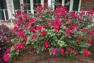 102 Wessex Terrace, Summerville, SC 29485 - Photo 7