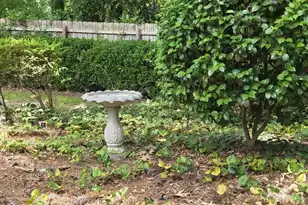 102 Wessex Terrace, Summerville, SC 29485 - Photo 61