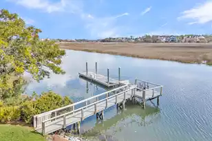 370 Ralston Creek St, Daniel Island, SC 29492 - Photo 103