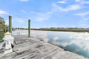 370 Ralston Creek St, Daniel Island, SC 29492 - Photo 101