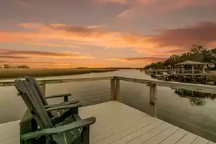 370 Ralston Creek St, Daniel Island, SC 29492 - Photo 61