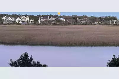 370 Ralston Creek Street, Daniel Island, SC 29492 - Photo 117