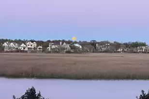 370 Ralston Creek St, Daniel Island, SC 29492 - Photo 117