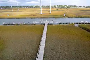 1648 John Fenwick Ln, Johns Island, SC 29455 - Photo 57