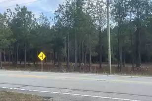 0 Jefferies Hwy, Walterboro, SC 29488 - Photo 1