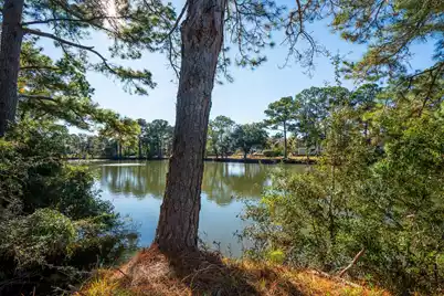 1574 Headquarters Plantation Drive, Johns Island, SC 29455 - Photo 93
