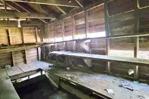 1107 Gilmore Ave, Holly Hill, SC 29059 - Photo 39