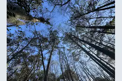 0 Cooke Road #Lot 1, Johns Island, SC 29455 - Photo 3