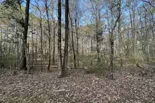 0 Cooke Road #Lot 3, Johns Island, SC 29455 - Photo 1