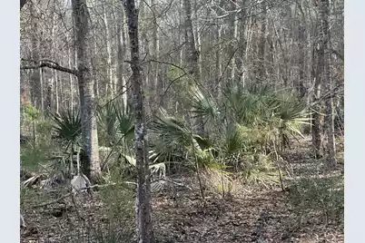 0 Cooke Road #Lot 2, Johns Island, SC 29455 - Photo 1