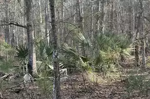 0 Cooke Road #Lot 2, Johns Island, SC 29455 - Photo 1