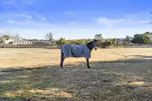 2111 Landfall Way, Seabrook Island, SC 29455 - Photo 51