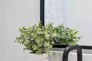 5053 Walker St, North Charleston, SC 29405 - Photo 19