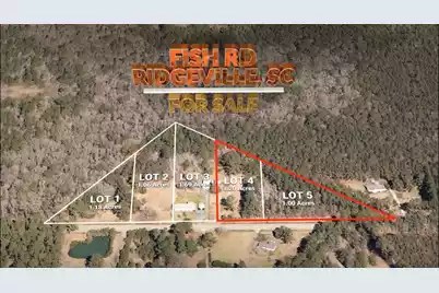 0 Fish Road #4 & 5, Ridgeville, SC 29472 - Photo 1