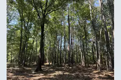 0 Fish Road #4 & 5, Ridgeville, SC 29472 - Photo 7