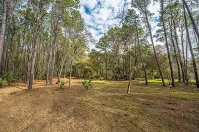 4297 Wild Turkey Way, Johns Island, SC 29455 - Photo 25