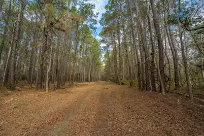 4297 Wild Turkey Way, Johns Island, SC 29455 - Photo 13