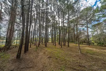 4297 Wild Turkey Way, Johns Island, SC 29455 - Photo 27