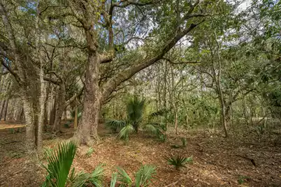 4297 Wild Turkey Way, Johns Island, SC 29455 - Photo 23