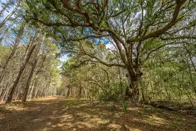 4297 Wild Turkey Way, Johns Island, SC 29455 - Photo 21