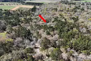 1901 Longcreek Rd, Wadmalaw Island, SC 29487 - Photo 95