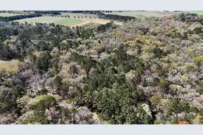 1901 Long Creek Road, Wadmalaw Island, SC 29487 - Photo 95