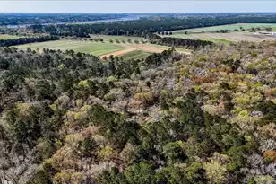 1901 Longcreek Rd, Wadmalaw Island, SC 29487 - Photo 77