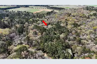 1901 Long Creek Road, Wadmalaw Island, SC 29487 - Photo 97