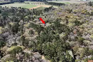 1901 Longcreek Rd, Wadmalaw Island, SC 29487 - Photo 97