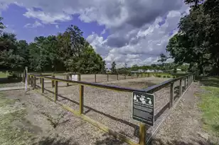 5065 Song Sparrow Wy, Summerville, SC 29483 - Photo 63