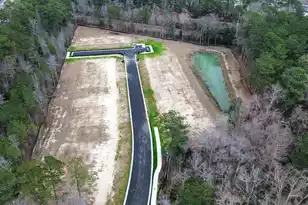 207 Brook Run Dr, Moncks Corner, SC 29461 - Photo 11