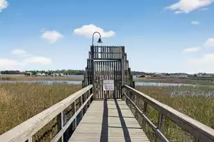 1230 River Walk Ct, Charleston, SC 29492 - Photo 59