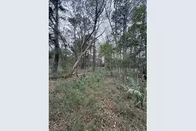 49 Seaside Lane, Edisto Island, SC 29438 - Photo 7