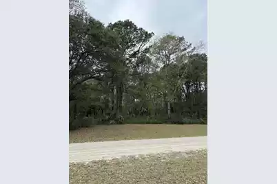 49 Seaside Lane, Edisto Island, SC 29438 - Photo 3