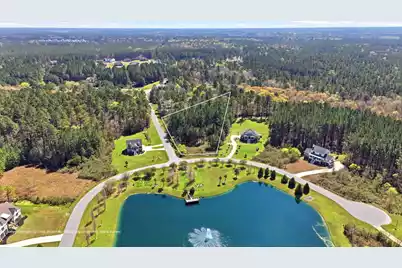 1313 Wood Sorrel Drive, Moncks Corner, SC 29461 - Photo 3