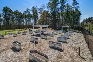 311 Autumn Azalea Wy, Summerville, SC 29486 - Photo 53