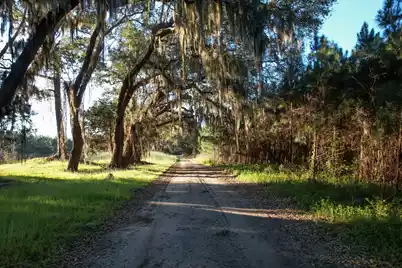 3170 Contentment Hall Road, Johns Island, SC 29455 - Photo 7