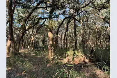 3170 Contentment Hall Road, Johns Island, SC 29455 - Photo 11