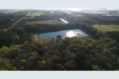 3170 Contentment Hall Road, Johns Island, SC 29455 - Photo 3